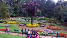 Taxi Coimbatore - Tours & Travels