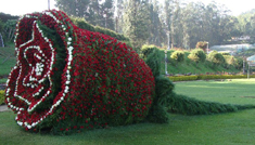 COIMBATORE - OOTY - COIMBATORE