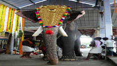 Coimbatore - Guruvayur - Coimbatore