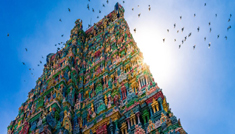 Coimbatore - Madurai - Palani - Coimbatore