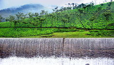 Taxi Coimbatore - Tours & Travels