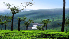Coimbatore - Valparai - Athirappalli Water Falls - Coimbatore