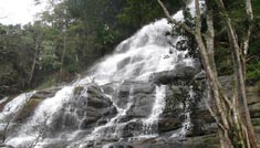 Taxi Coimbatore - Tours & Travels