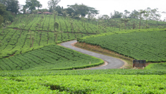 Taxi Coimbatore - Tours & Travels