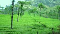 Taxi Coimbatore - Tours & Travels