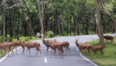Taxi Coimbatore - Tours & Travels