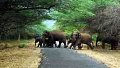 Coimbatore - Ooty - Munnar - Alleppey - Kovalam - Kanyakumari - Trivandrum