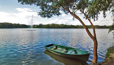 Bangalore - Mysore - Ooty - Kodaikanal - Coimbatore