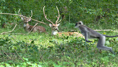 Coimbatore - Ooty - Mysore - Bangalore