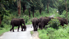 Coimbatore - Ooty - Kodaikanal - Munnar - Cochin