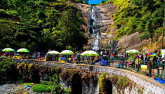 Coimbatore - Ooty - Kodaikanal - Munnar - Coimbatore
