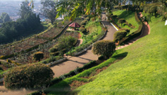 Coimbatore - Kodaikanal - Ooty - Mysore - Bangalore