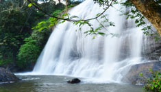 Coimbatore - Ooty - Coorg - Mysore - Bangalore