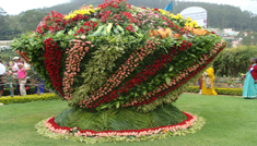 Coimbatore - Ooty - Coorg - Mysore - Bangalore