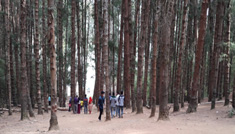 Coimbatore - Ooty - Kodaikanal - Munnar - Thekkdy - Alleppey - Coimbatore