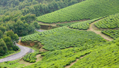 Taxi Coimbatore - Tours & Travels