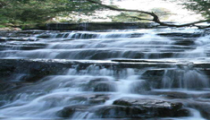 Coimbatore - Kodaikanal - Munnar - Coimbatore