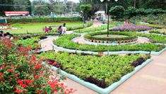 Coimbatore - Kodaikanal - Ooty - Mysore - Coimbatore