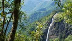 Coimbatore - Munnar - Thekkady - Kumarakom - Cochin - Coimbatore