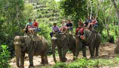 Coimbatore - Munnar - Thekkady - Alleppey - Cochin - Coimbatore