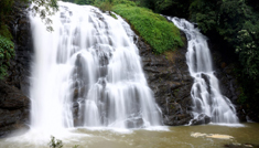 Coimbatore - Ooty - Coorg - Mysore - Coimbatore