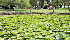 Coimbatore - Ooty - Wayanad - Coorg - Bangalore