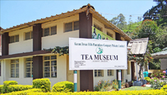 Mysore - Ooty - Munnar - Coimbatore