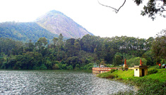 Coimbatore - Munnar - Alleppey - Cochin - Coimbatore