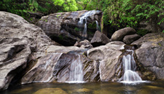 Coimbatore - Munnar - Alleppey - Cochin - Coimbatore