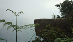 Taxi Coimbatore - Tours & Travels