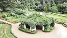 Coimbatore - Ooty - Mysore - Coimbatore
