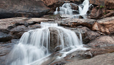 Coimbatore - Munnar - Coimbatore