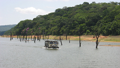 Coimbatore - Munnar - Thekkady - Coimbatore