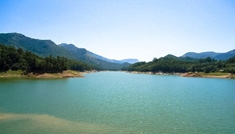 Coimbatore - Munnar - Thekkady - Coimbatore