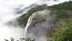 Coimbatore - Munnar - Thekkady - Coimbatore