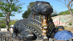 Bangalore - Mysore - Ooty - Bangalore