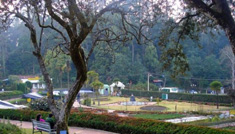 Taxi Coimbatore - Tours & Travels