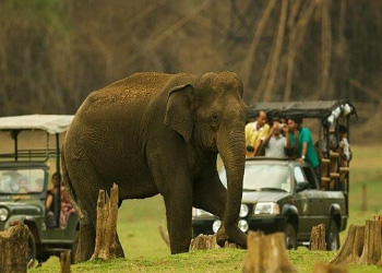 Coimbatore - Ooty - Mysore - Coorg - Bangalore