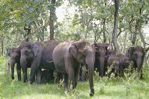 Taxi Coimbatore - Tours & Travels