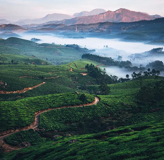 Taxi Coimbatore - Tours & Travels