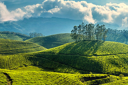 Taxi Coimbatore - Tours & Travels