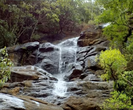 Taxi Coimbatore - Tours & Travels